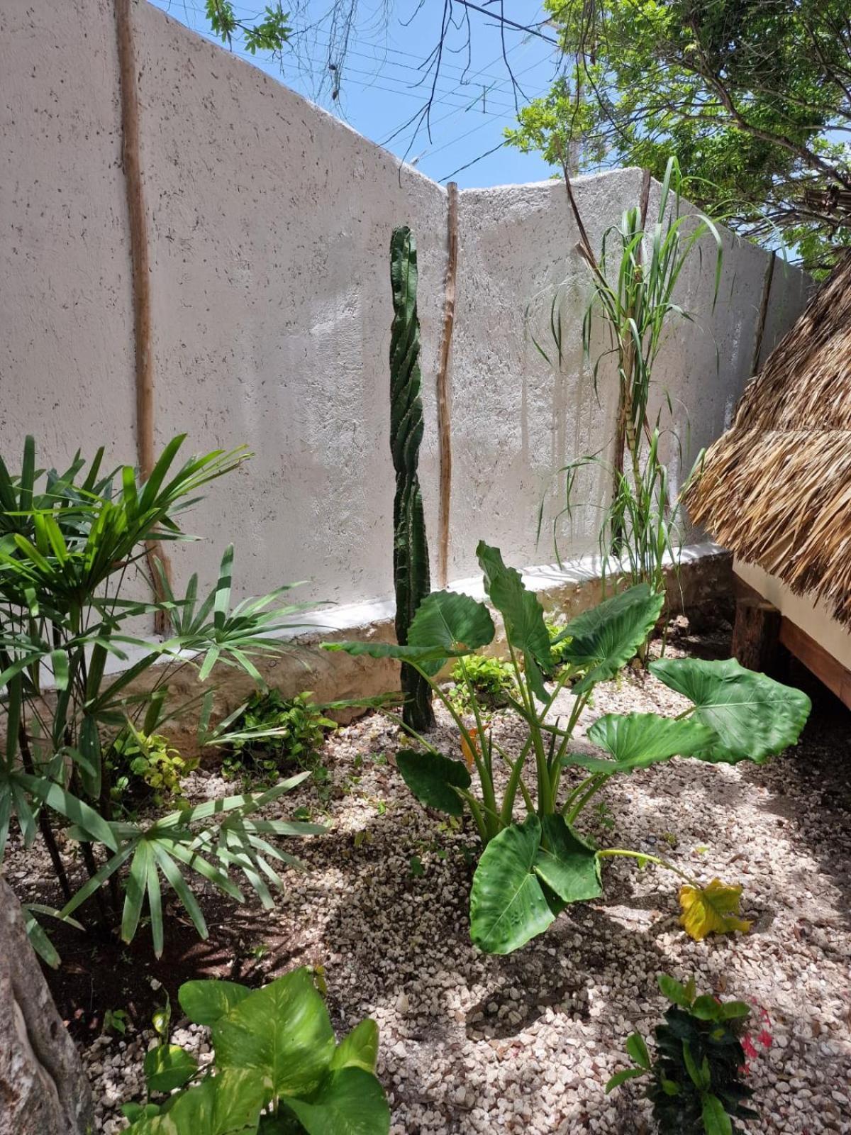 Luna Y Sol Glamping Holbox Kültér fotó